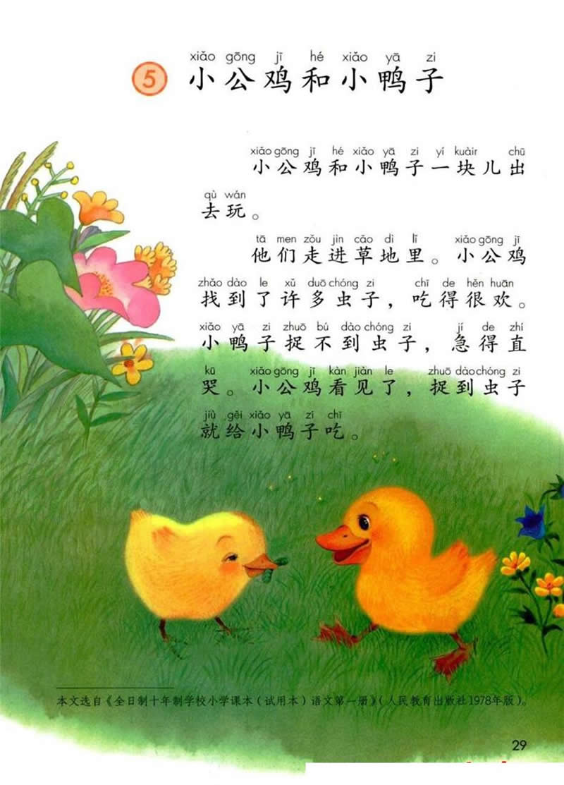 第5課《小公雞和小鴨子》